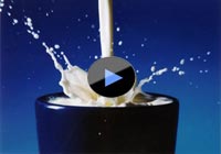 牛奶的力量(上)   (下)