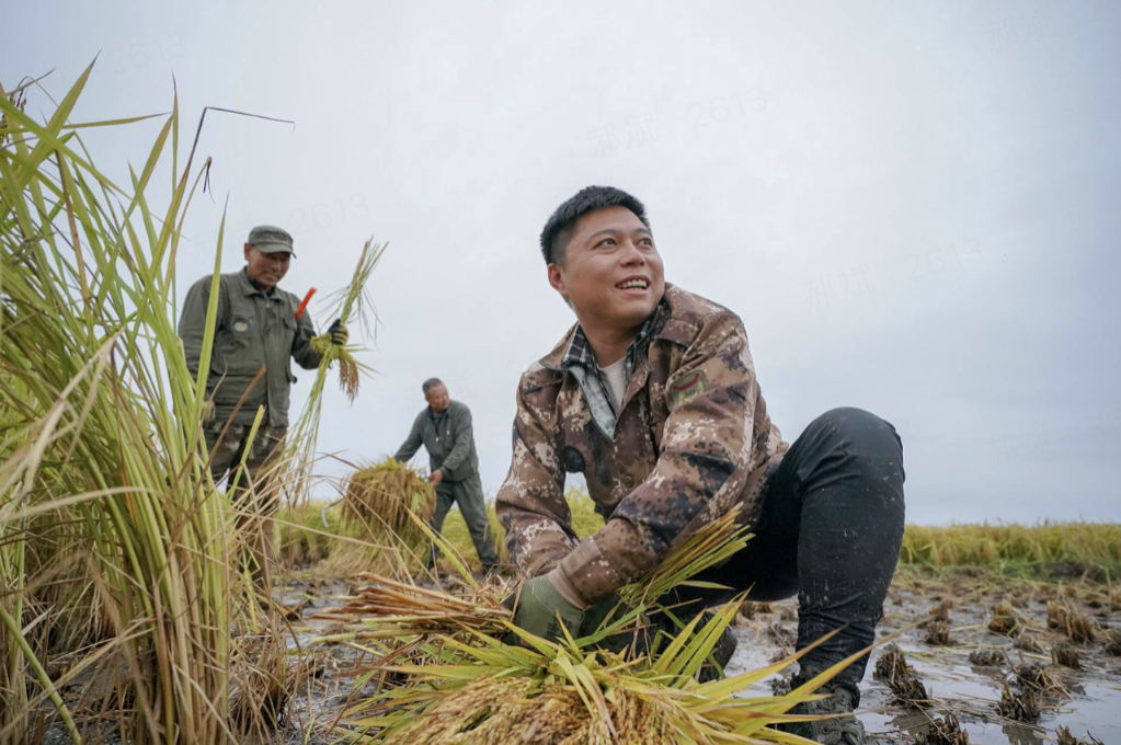 农人网，农人网下载