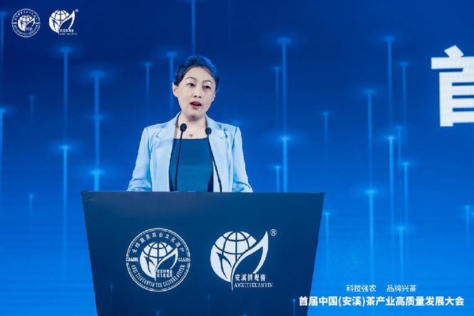 围绕产业发展全局,进行战略部署,泉州市委副书记宿利南表示,安溪将