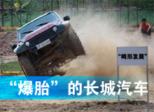 &ldquo;爆胎&rdquo;的长城汽车