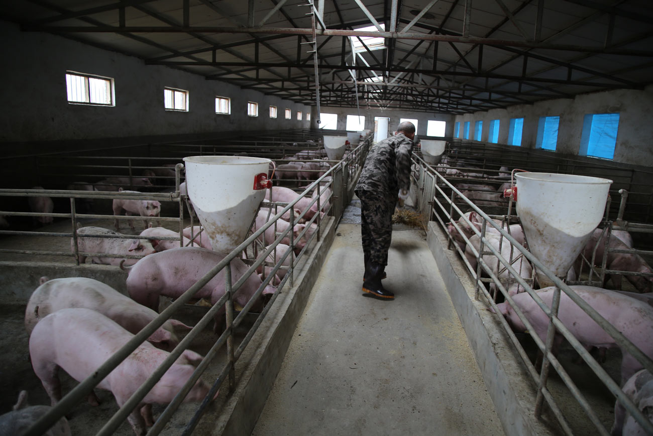 靠&ldquo;猪舍&rdquo;抵押来的贷款