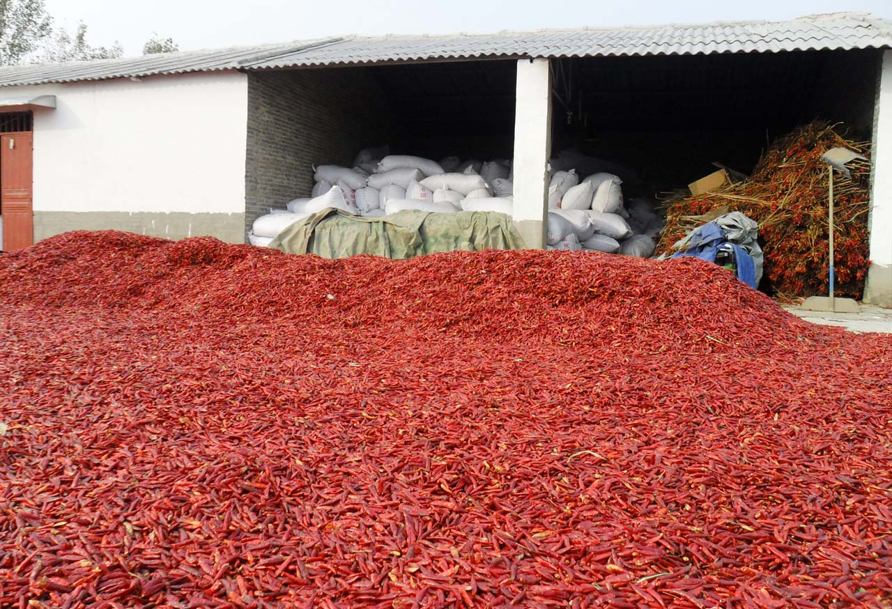 金融助阵&ldquo;辣椒之乡&rdquo;