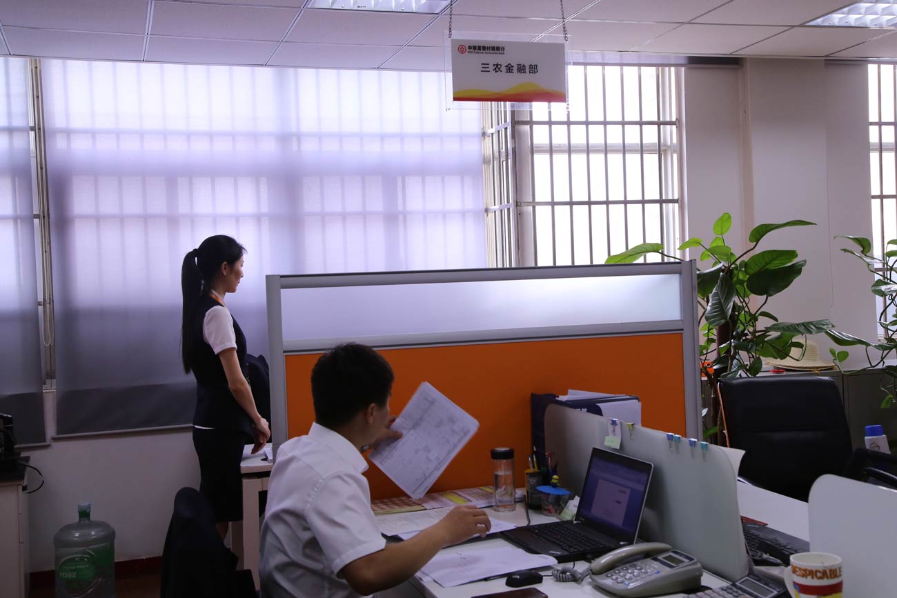 战略调整 成立&ldquo;三农&rdquo;金融部