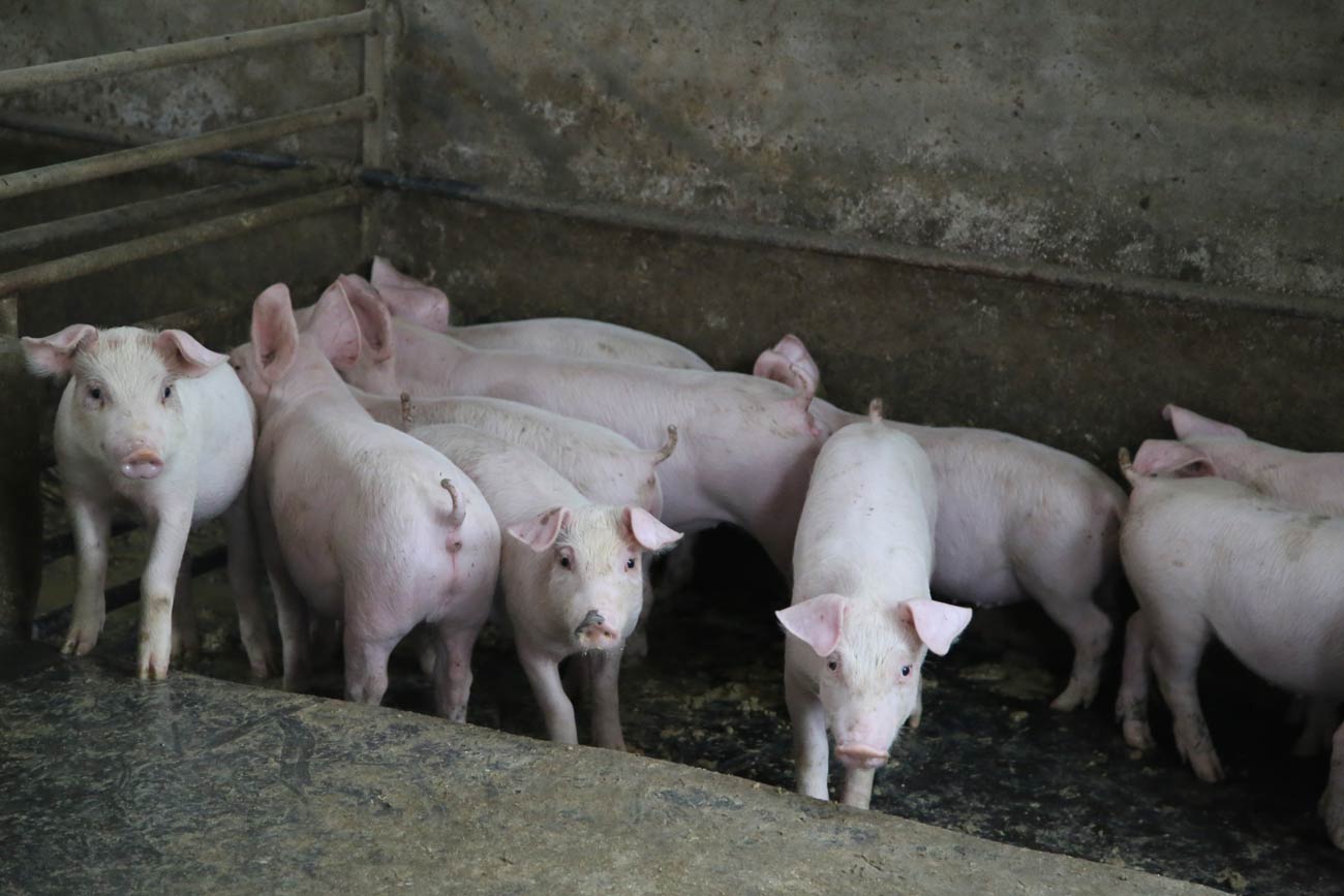 推出&ldquo;欣农贷&rdquo;系列信贷产品