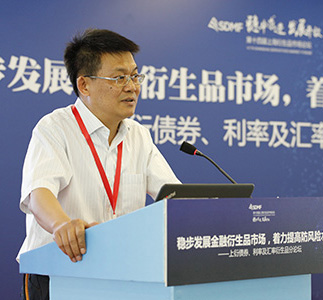 对外经贸大学校长助理丁志杰主旨发言