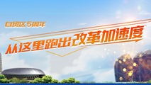 自贸区五周年