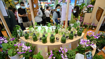 首设主宾国，冬交会&ldquo;朋友圈&rdquo;再扩大