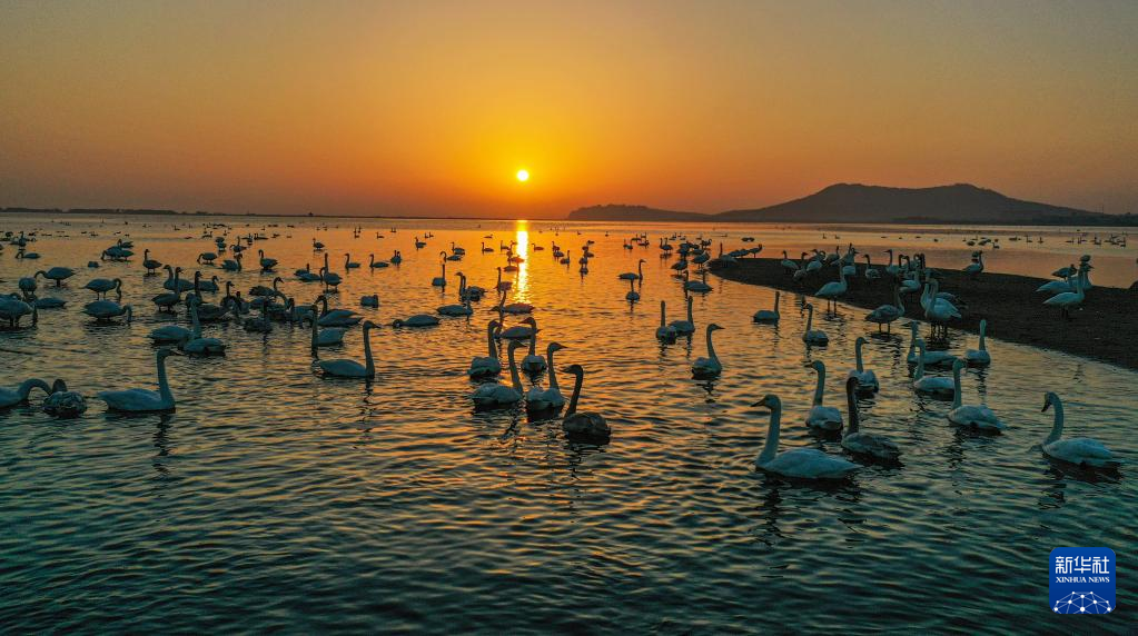 摄影图集 光影中的天鹅湖 恍如童话世界