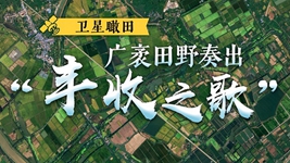 卫星瞰田丨广袤田野奏出&ldquo;丰收之歌&rdquo;
