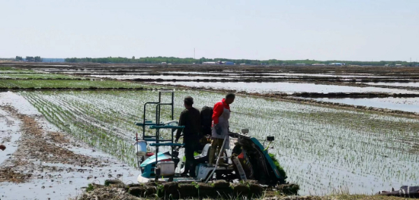 div data=datasource：202305153f5d07b24a47446185ae08ea68150814