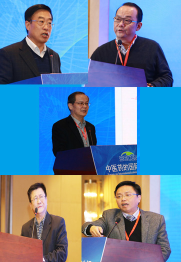 多省市借力&ldquo;一带一路&rdquo;推动中医药走出去