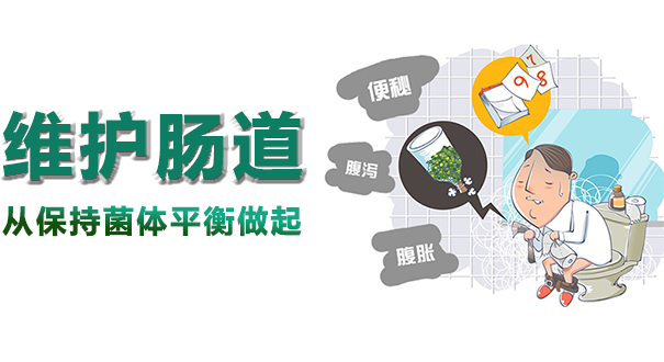 维护肠道从保持菌体平衡做起