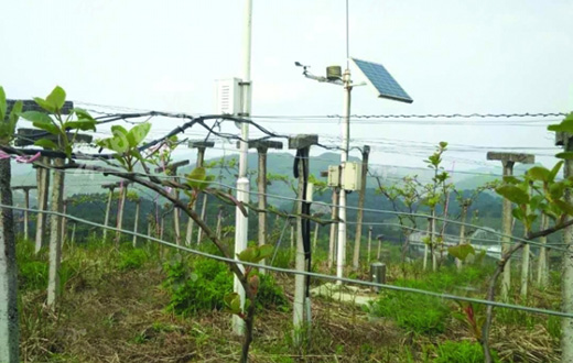 大数据培育&ldquo;智慧农业&rdquo; 山间野果的逆袭之路