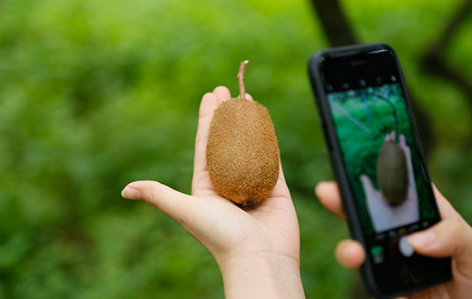 修文县：大数据让&ldquo;毛果果&rdquo;变身&ldquo;金果果&rdquo;