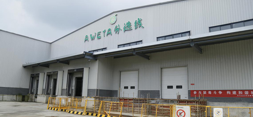 探访修文猕猴桃产业科技园 看智慧农业如何点亮猕猴桃科技值