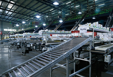 标准化种植上规模 精深加工创品牌