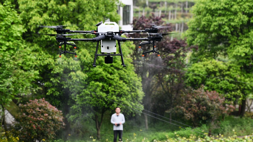 网跨千年，村中有&ldquo;数&rdquo;&mdash;&mdash;&ldquo;数字乡村&rdquo;赋能西部发展观察