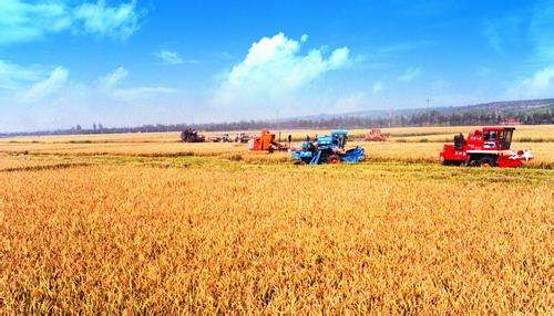 中国农村土地制度及改革——基于当前土地功能变化视角的