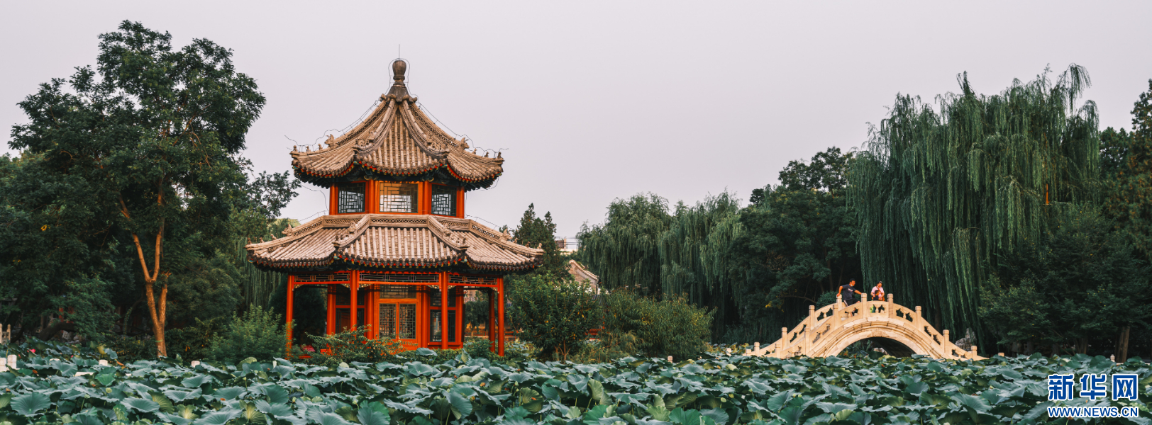 红色经典电影之旅古莲花池