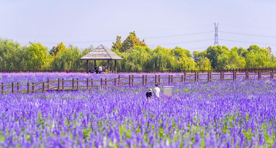 千年药都 康养安国