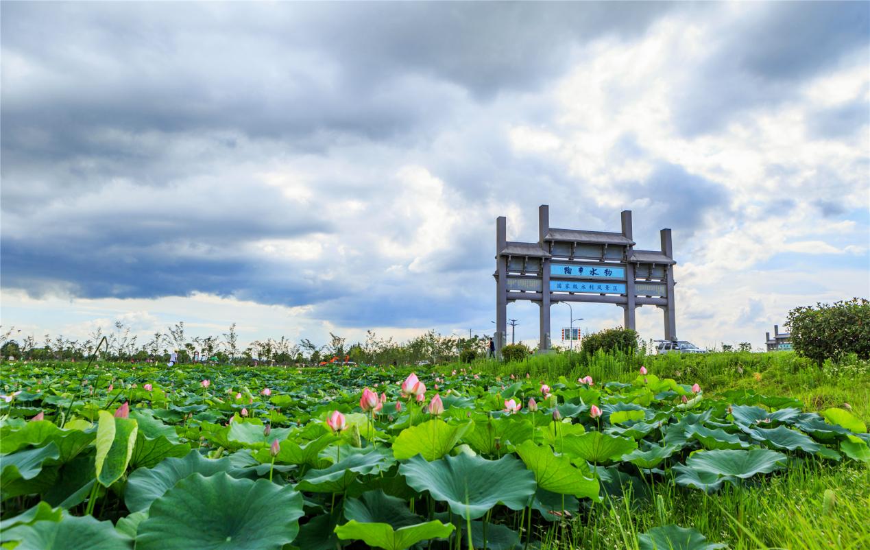 芜湖陶辛水韵景区入驻新华网飞阅中国景区通
