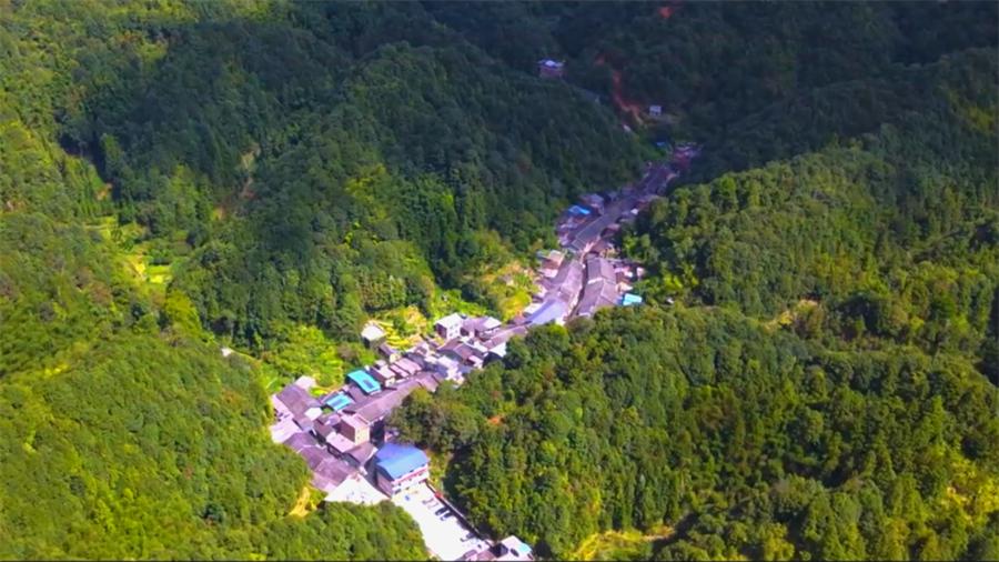 广西金秀大瑶山奏响粤桂协作振兴曲