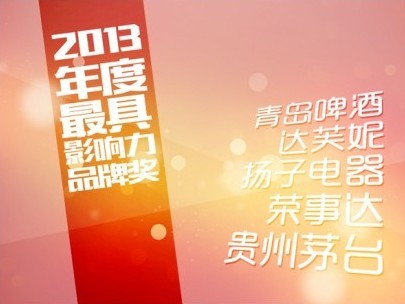 2013年度最具影响力品牌奖