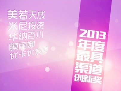 2013年度最具渠道创新奖