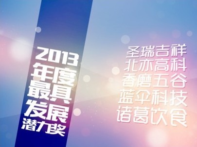 2013年度最具发展潜力奖