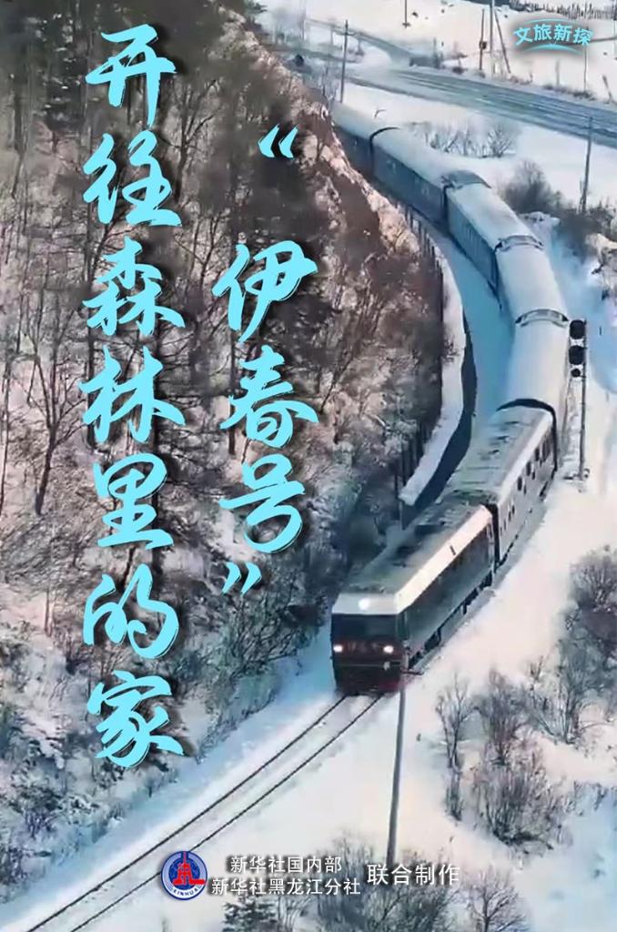 文旅新探丨“伊春号”:开往森林里的家-新华网
