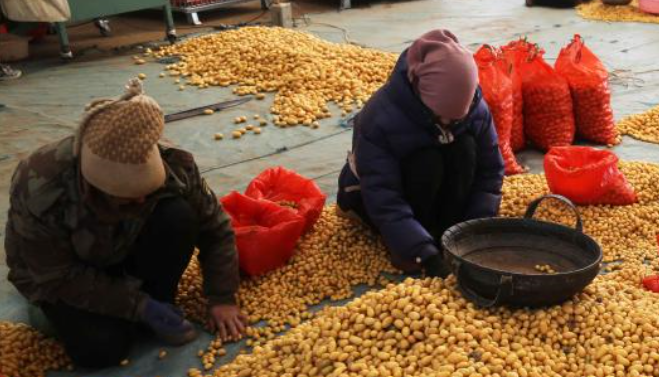 “三西”巨变40年:从“苦甲天下”到振兴热土