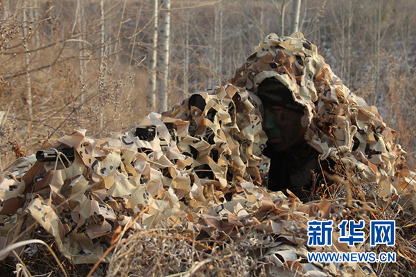 狙击手在进行伪装精度射击训练