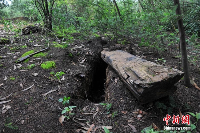 昆明中国空军抗日战争殉国将士墓修建完成