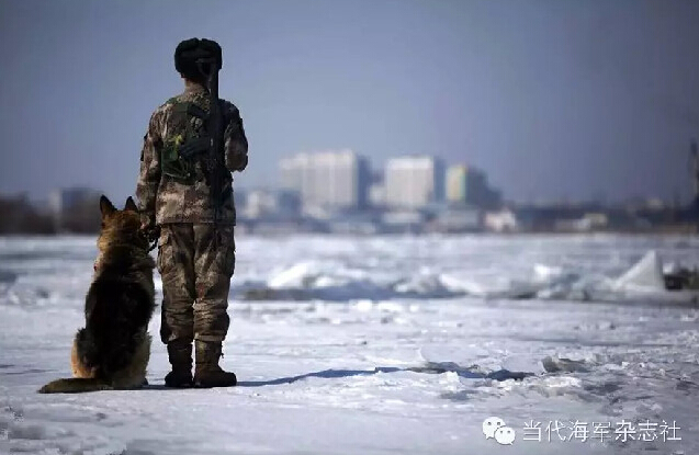 解放军"汪星"战士是怎样炼成的?