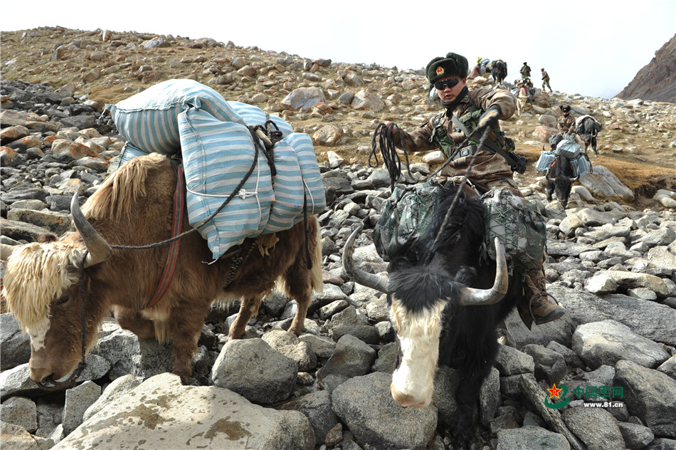 牦牛骑兵巡逻死亡谷全程实录