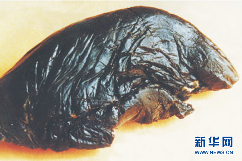 资料图:毒品鸦片11月4日,云南德宏边防支队盈江边防大队通过群众举报