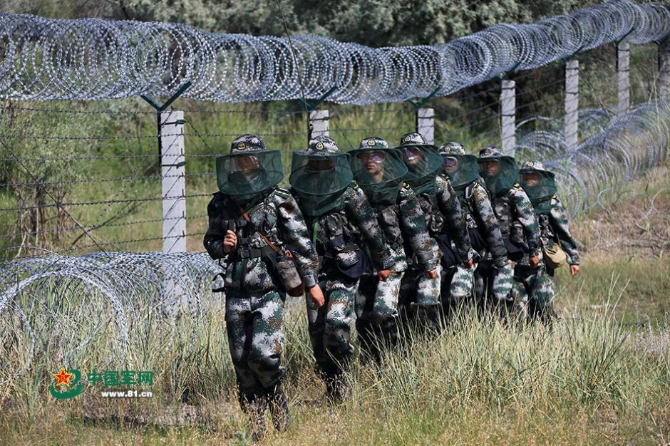 蚊虫王国巡逻兵一掌拍死50多只蚊子