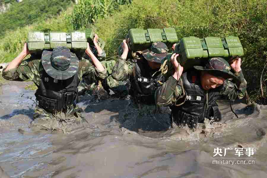 夏日热训!特战武警练兵也"疯狂"