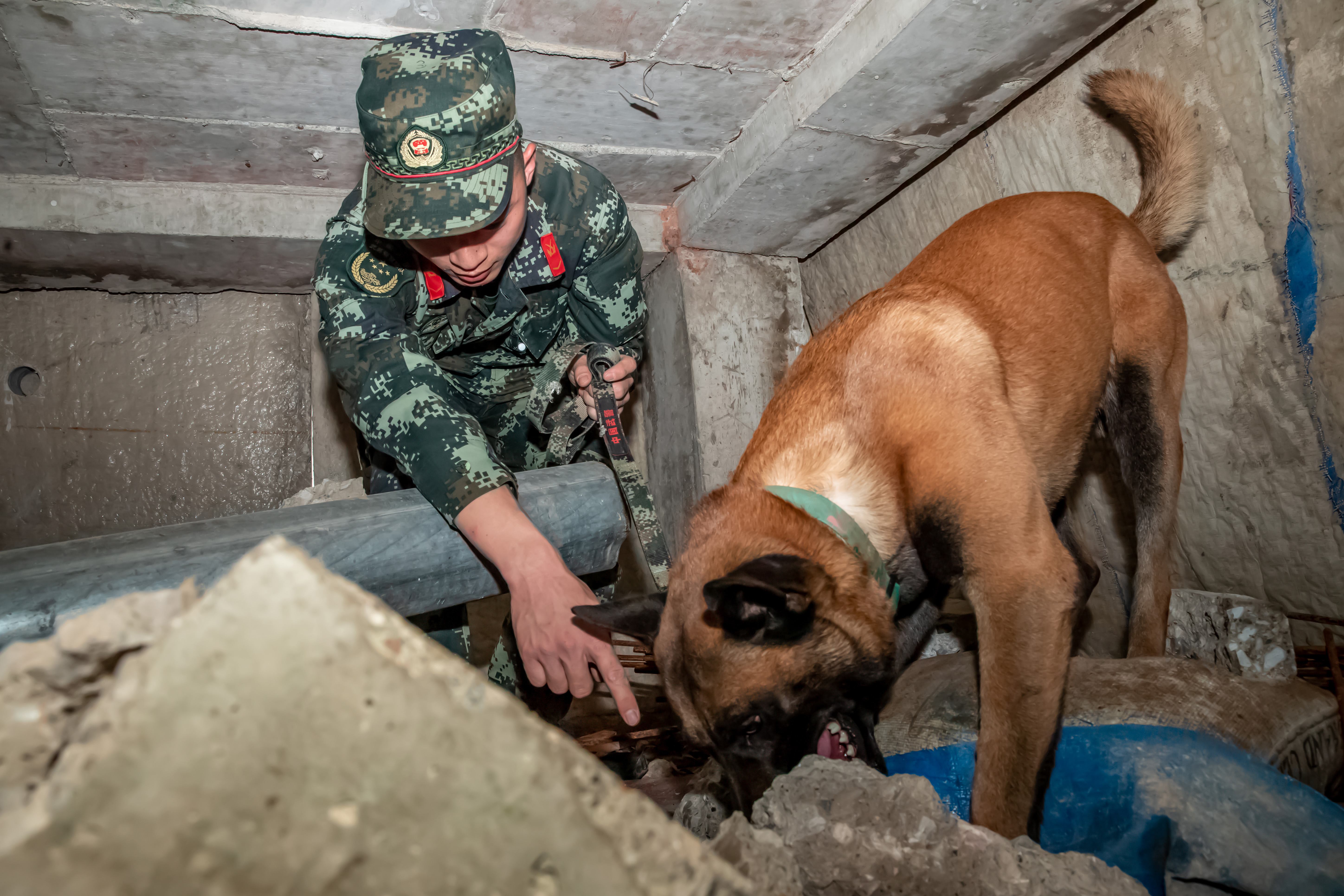 军犬训导员孔德鑫与他的战友凯特