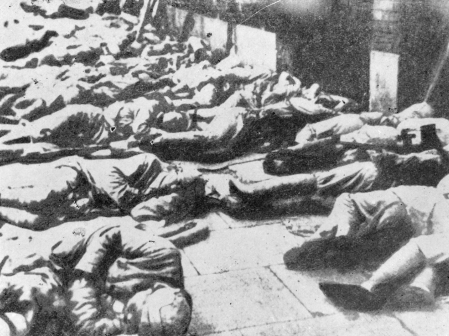 "南京路上好八连":从"霓虹哨兵"到"特战尖兵"