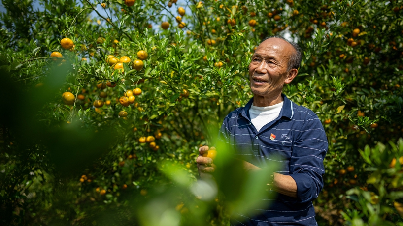 战山斗山，一代又一代&ldquo;石漠愚公&rdquo;书写传奇