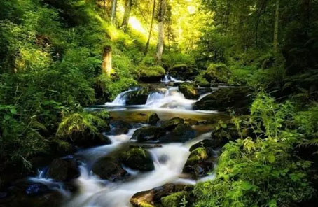 阅读丨溪水声中听澎湃