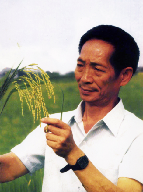 传承公益大爱,逐梦禾下乘凉——"袁隆平慈善信托"成立仪式圆满举办