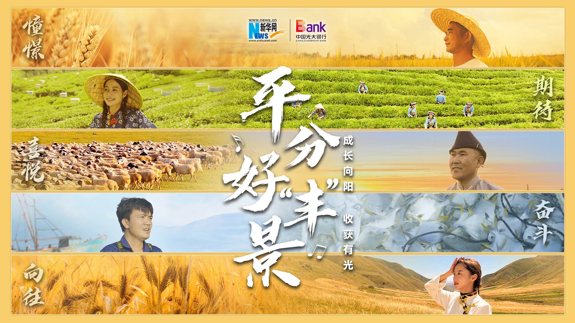 光大银行——用金融为美好生活赋能 光大银行砥砺前行_新华网