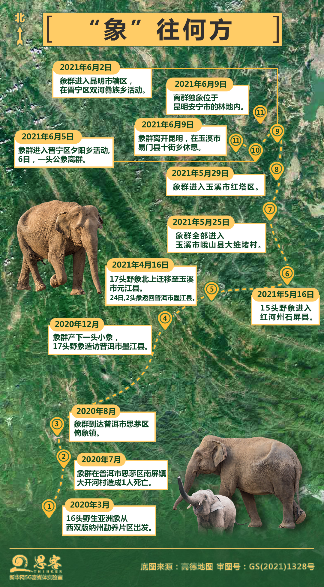 一路"象"北,狭路"象"逢,晕头转"象",全民偶"象"……连日来,在云南"逛