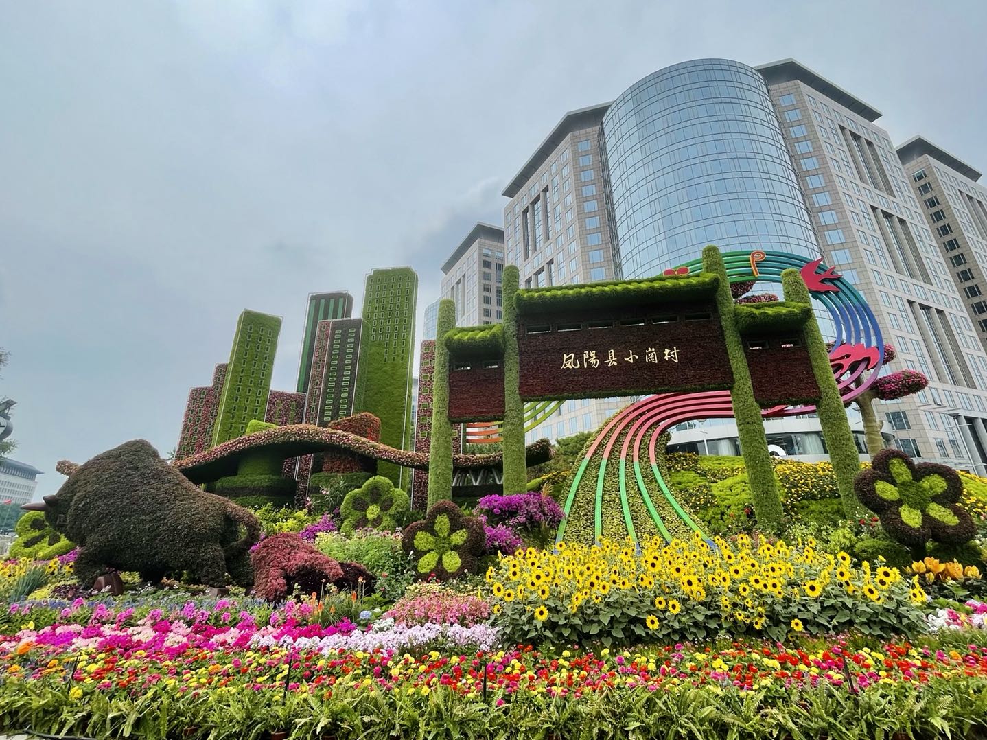 多曲面立体结构,采用穴盘苗栽植工艺;花坛主景高大挺拔,地面混合花境