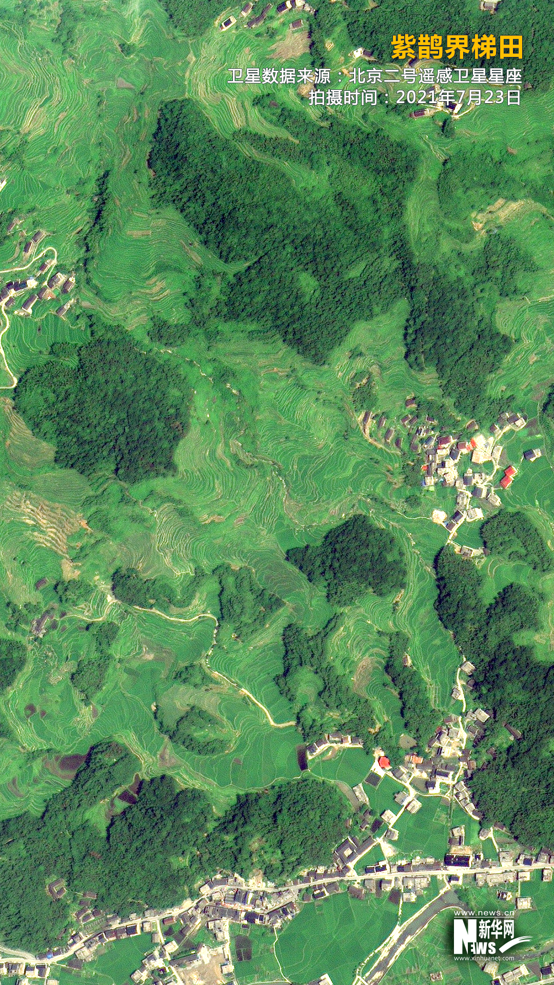 卫星瞰田丨梯田的实力超乎你的想象