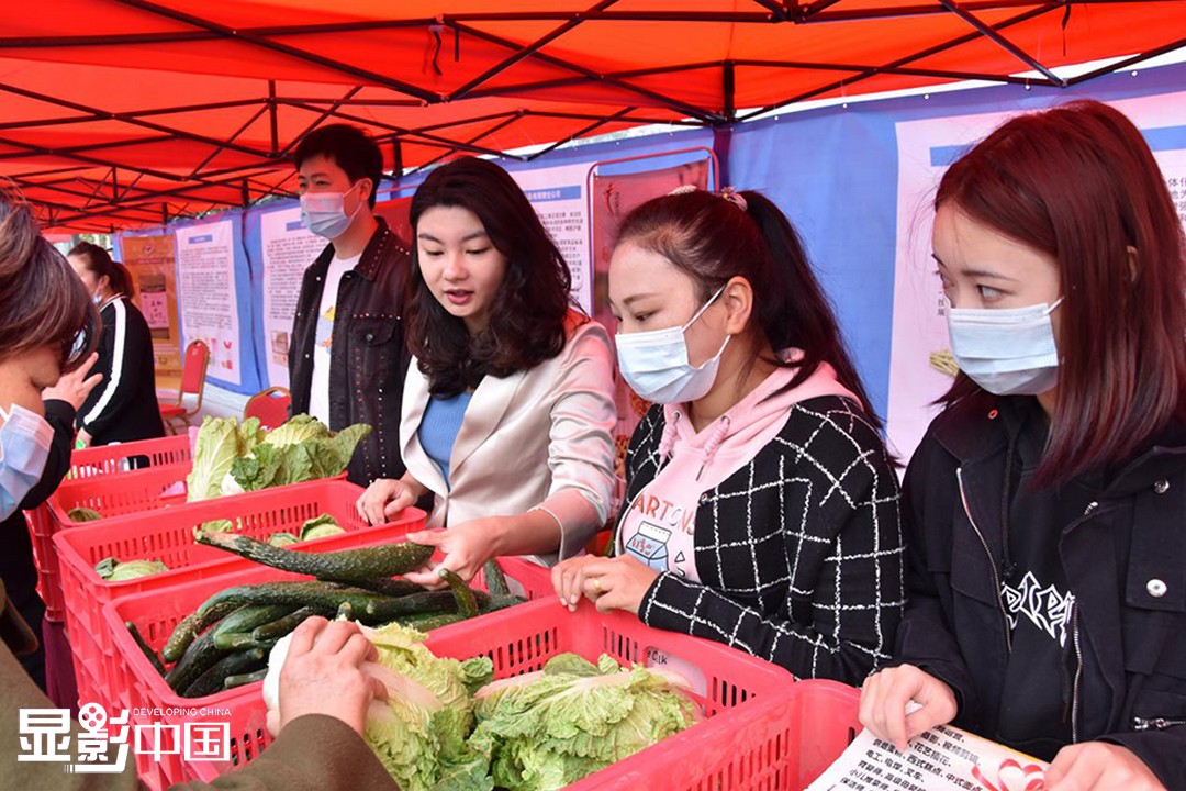 一个偶然的机会让她嗅到了农村电商的发展空间,于是她放弃大城市工作