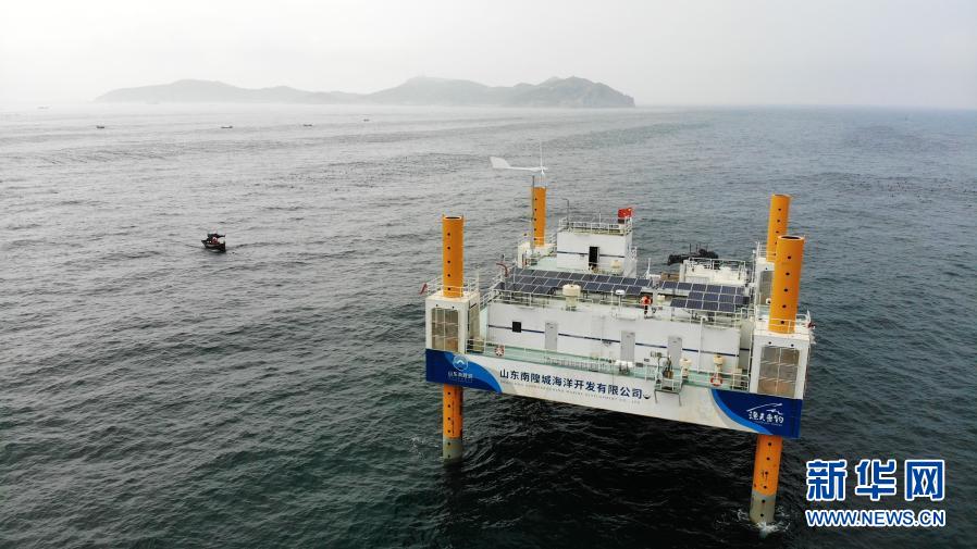 透视山东农业发展信号_山东新闻_菏泽大众网