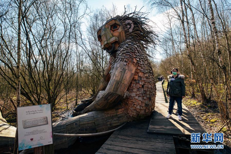 国际森林日--守护森林的七个"巨人"[组图]